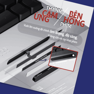 anh mo ta 1
