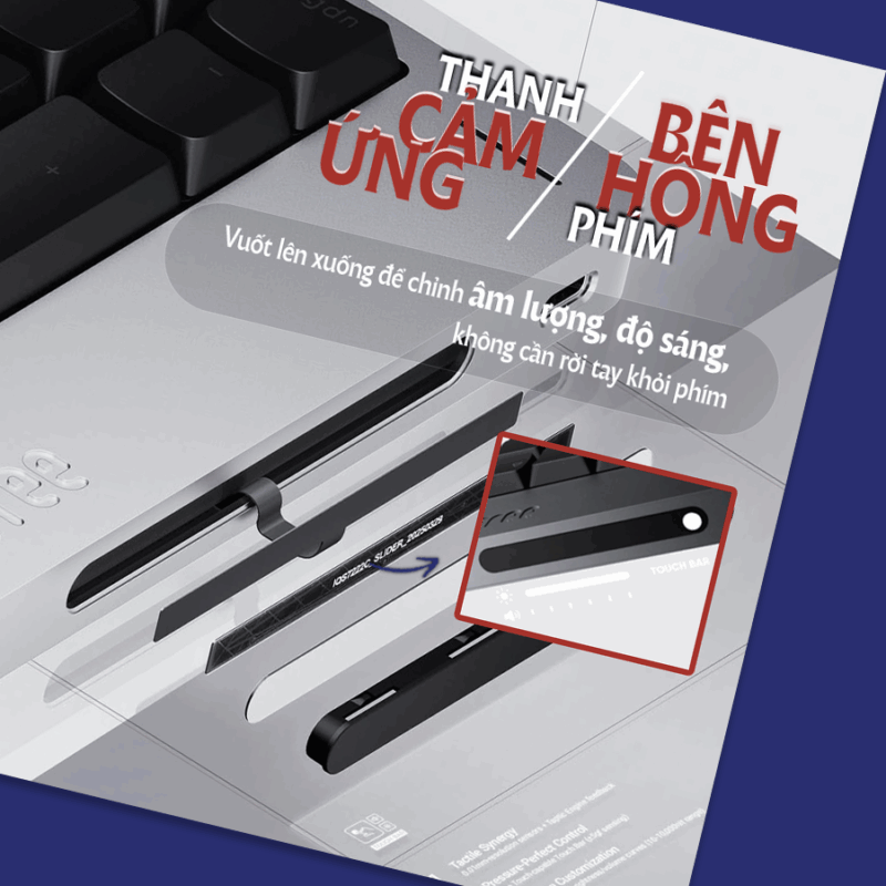 anh mo ta 1