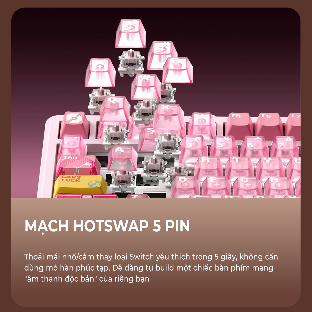 Bàn phím cơ Xinmeng S75 Pro Bàn phím cơ Xinmeng S75 Pro