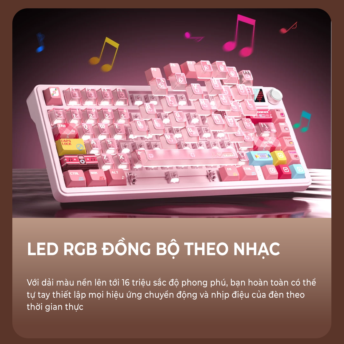 Bàn phím cơ Xinmeng S75 Pro Bàn phím cơ Xinmeng S75 Pro