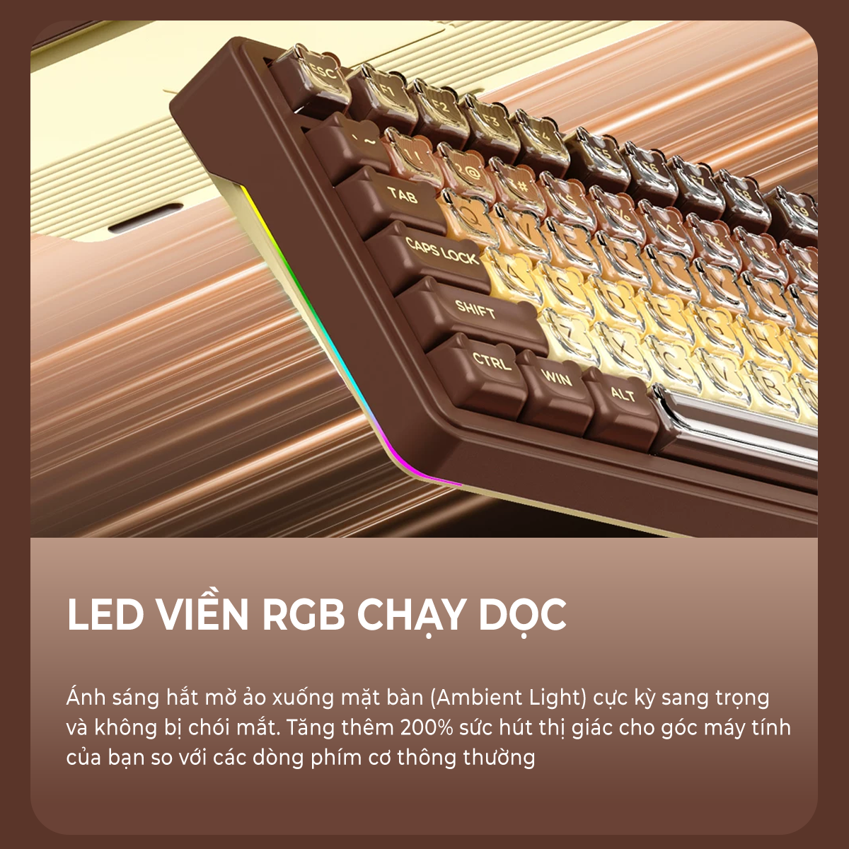 Bàn phím cơ Xinmeng S98 Max Bàn phím Xinmeng S98 Pro
