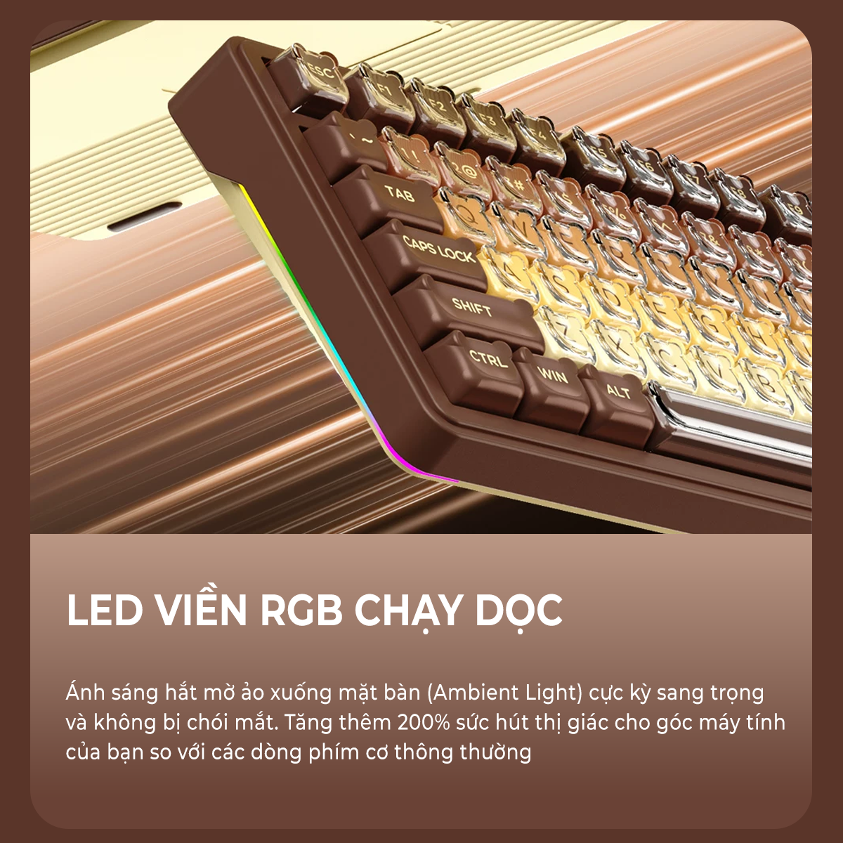 Bàn phím cơ Xinmeng S75 Pro Bàn phím cơ Xinmeng S75 Pro