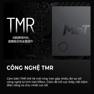 TMR