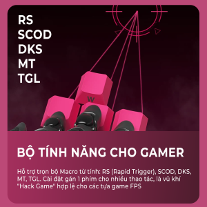 Bàn phím cơ Xinmeng Beat75 bàn phím cơ Xinmeng Beat75