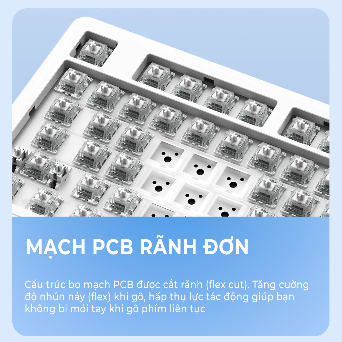 Bàn phím cơ Xinmeng M87 Lite Bàn phím cơ Xinmeng M87 Lite