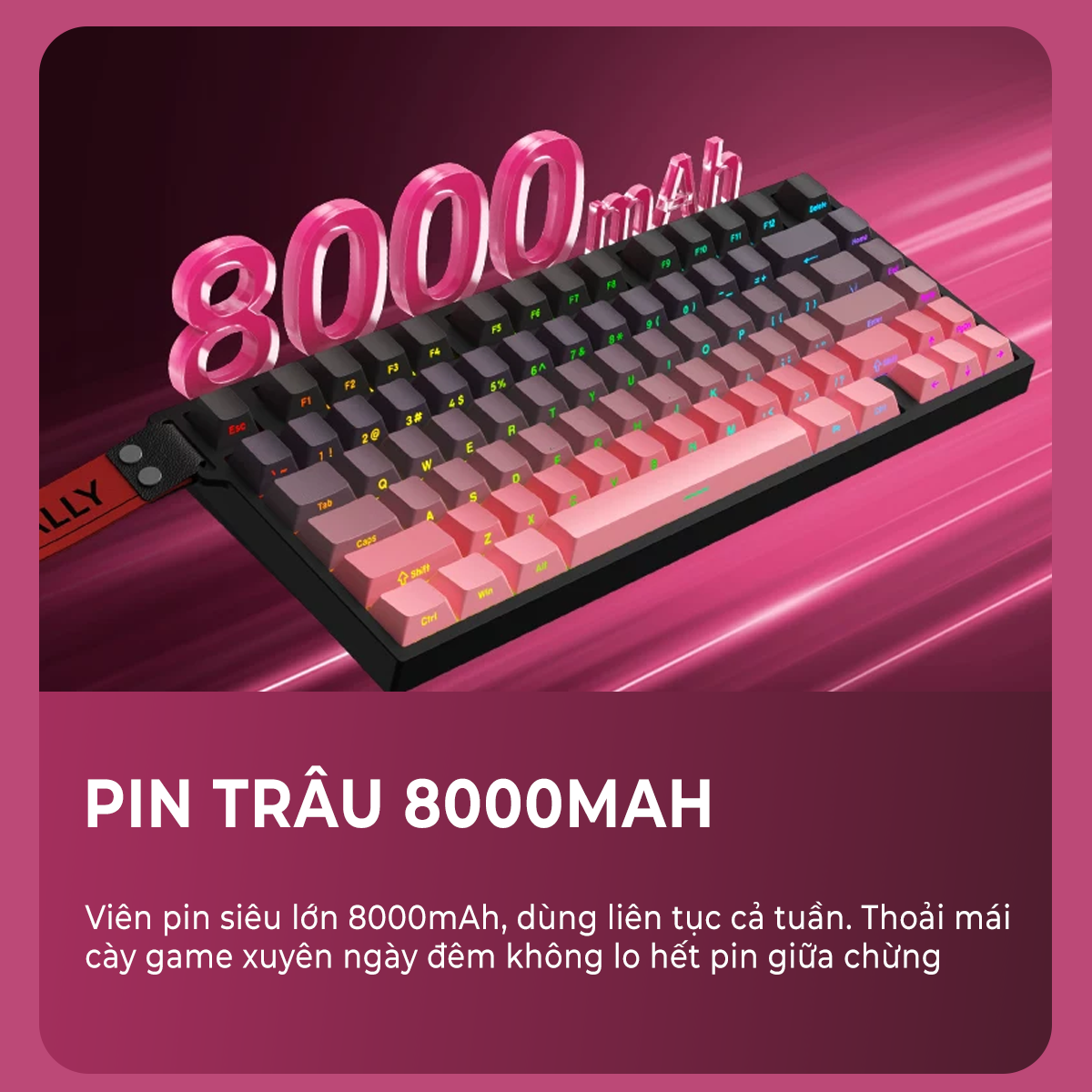 Bàn phím cơ Xinmeng Beat75 bàn phím cơ Xinmeng Beat75