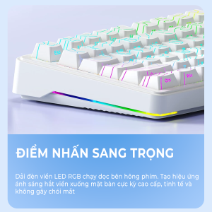 Bàn phím cơ Xinmeng M75