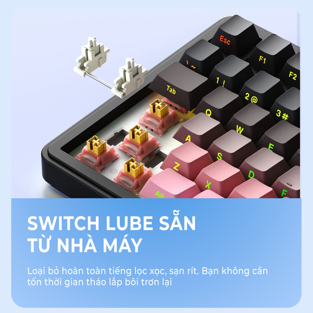 vBàn phím cơ Xinmeng M75