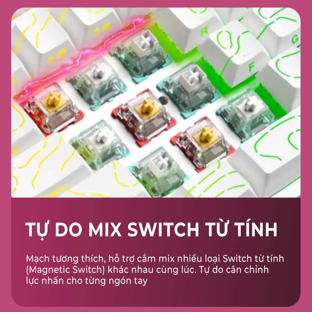 Bàn phím cơ Xinmeng Beat75 bàn phím cơ Xinmeng Beat75