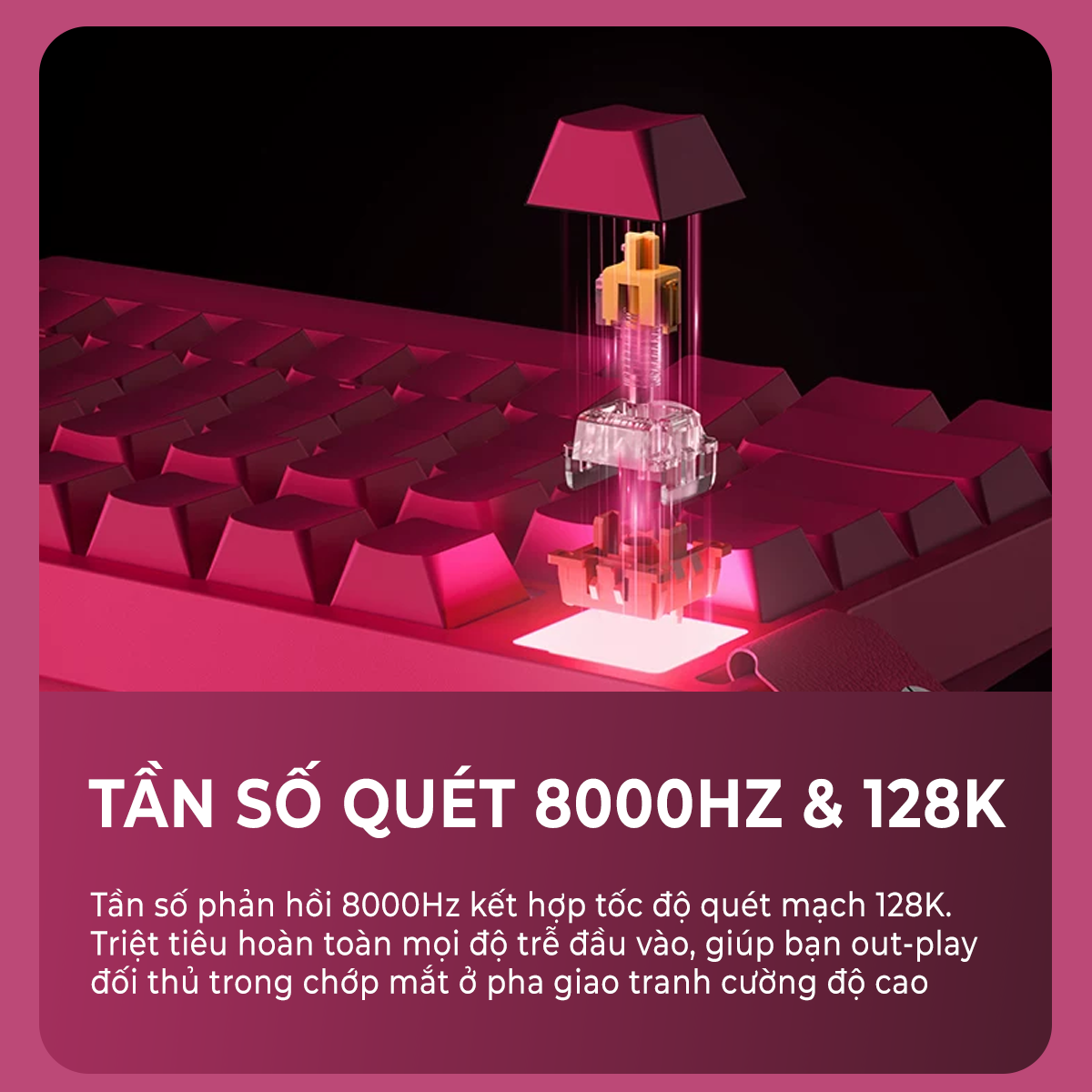 Bàn phím cơ Xinmeng Beat75 bàn phím cơ Xinmeng Beat75