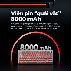 PIN